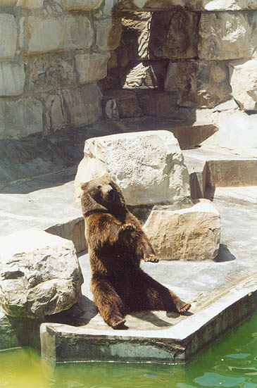 zoo02.jpg